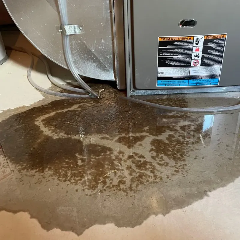 Pipe Burst and Leak Restoration in Arlington, VA